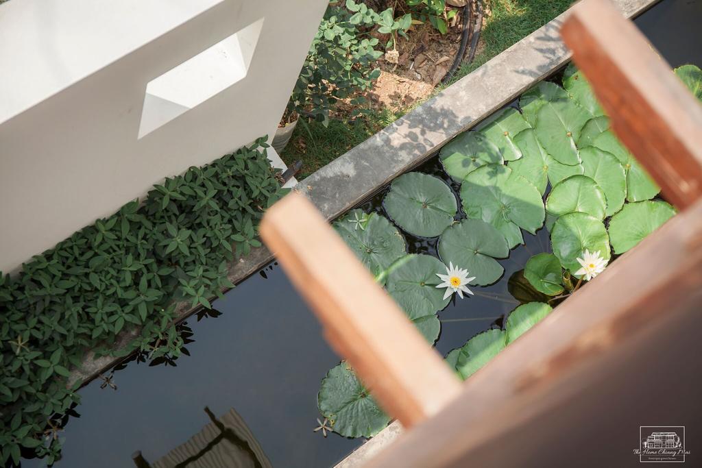 The Home Chiangmai Luxury Guesthouse Chiang Mai Luaran gambar