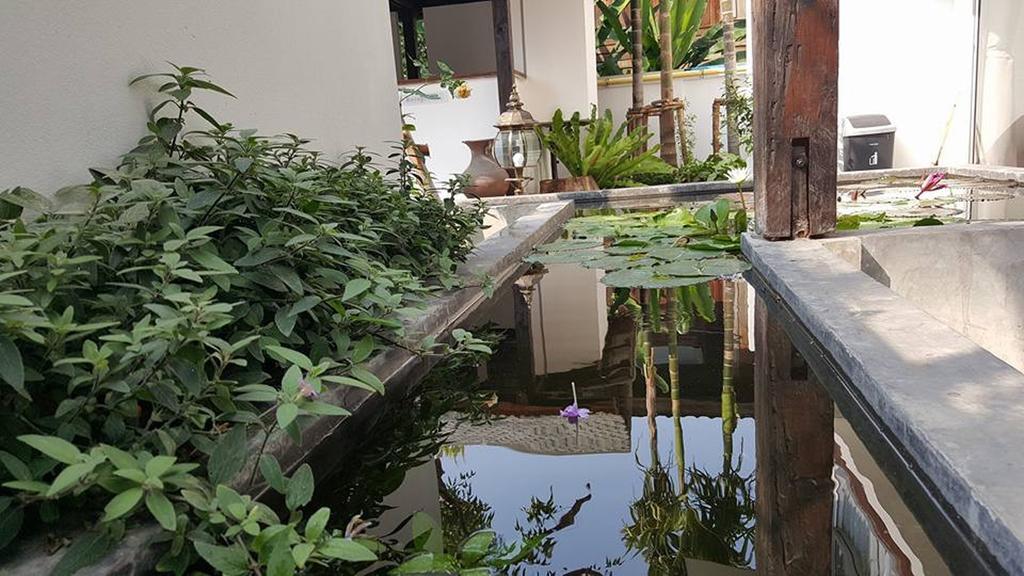 The Home Chiangmai Luxury Guesthouse Chiang Mai Luaran gambar