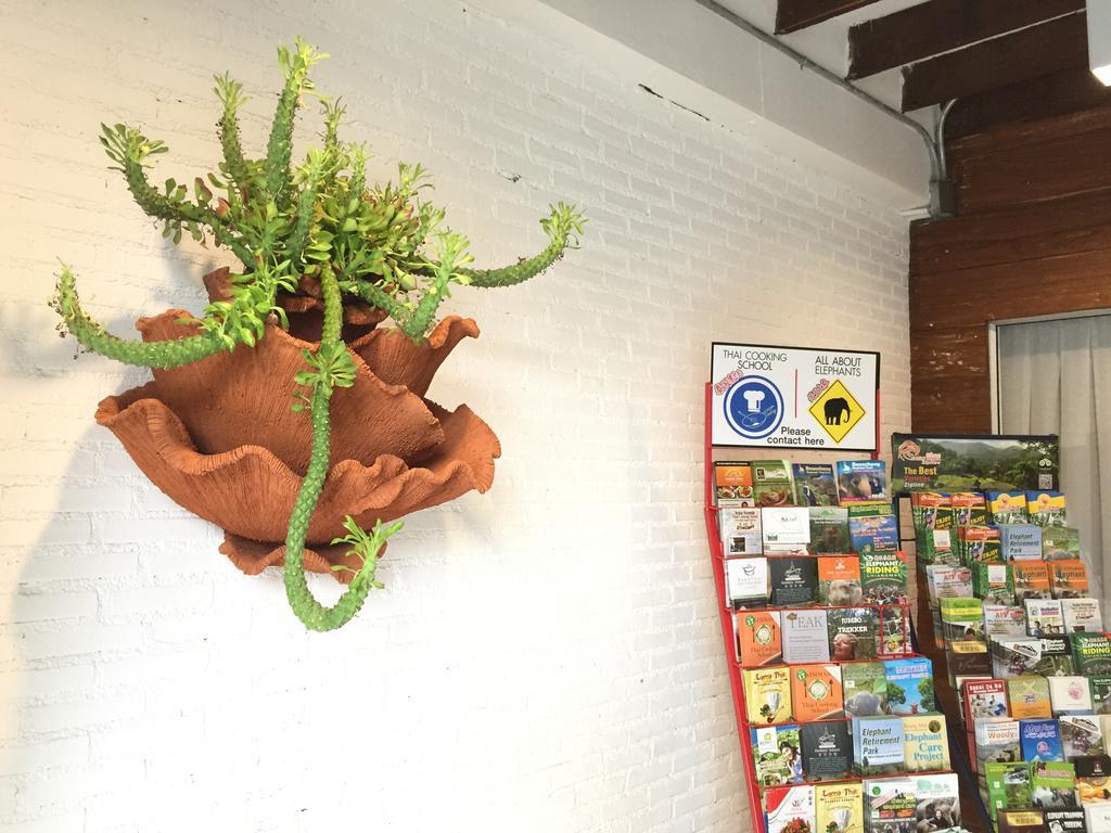 The Home Chiangmai Luxury Guesthouse Chiang Mai Luaran gambar