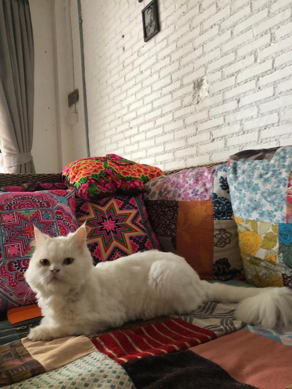 The Home Chiangmai Luxury Guesthouse Chiang Mai Luaran gambar